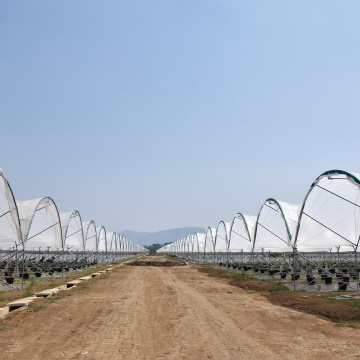 Low Haze & Low/medium Diffusion Anti-Aging greenhouse film