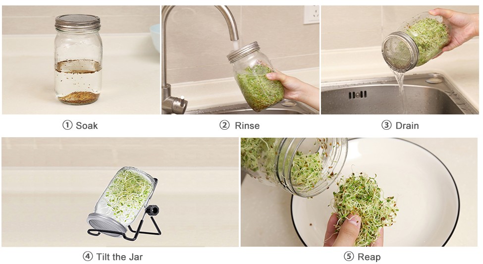 Yuming Sprouting Lids For Wide Mouth Canning Jar Mason Jar Sprouting Lids Sprouting Jar Lid