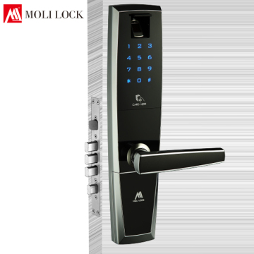 special door lock, fingerprint door lock, door security bar