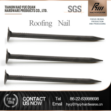 bright decorative clout nail heads for furniture