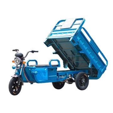 Direct Deal: 800W-1200W Adult 3-Wheel Electric Motorized Tricycle Bikes