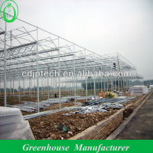 greenhouse mushrooms