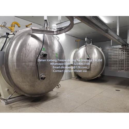 Scallion Freeze drying equipment