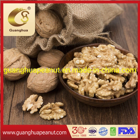 Best Quality New Crop 33 Type Walnut in Shell