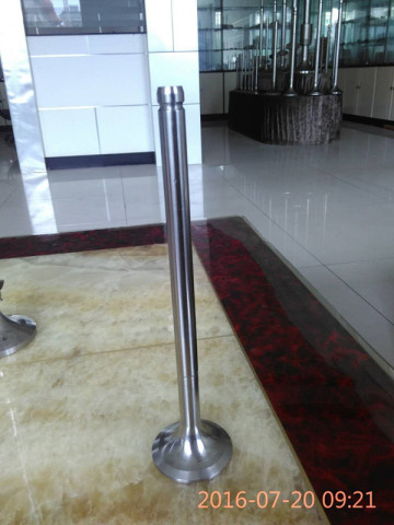 For Train Valve Parts Exhaust Valve for Engine