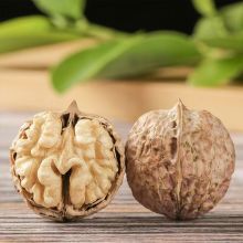 Natural In-shell Walnuts from Yunnan Dapao