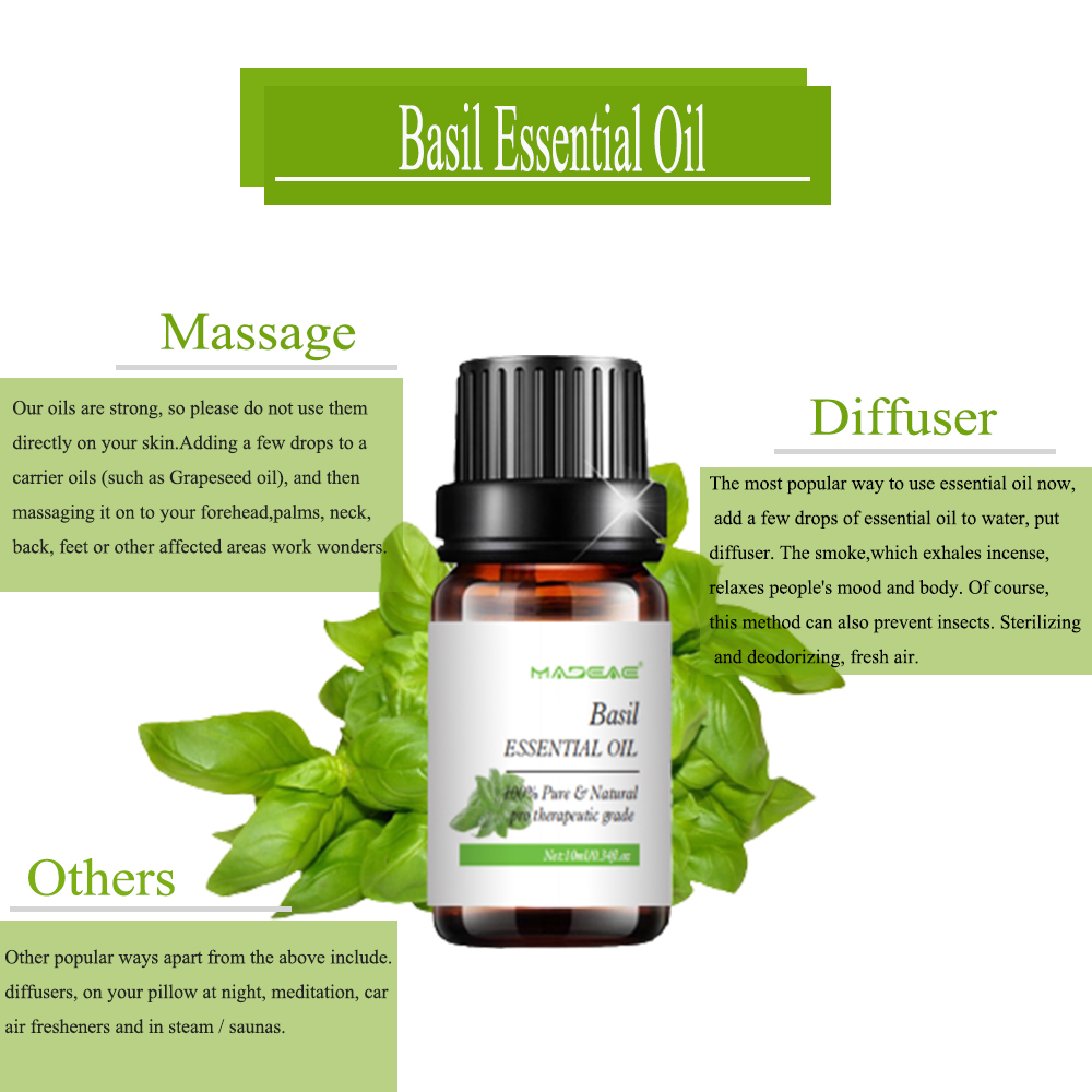 Basil biologique à huile essentielle Massage soluble dans l&#39;eau