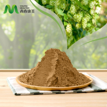 Quality Hops Extract for Inflammation Relief