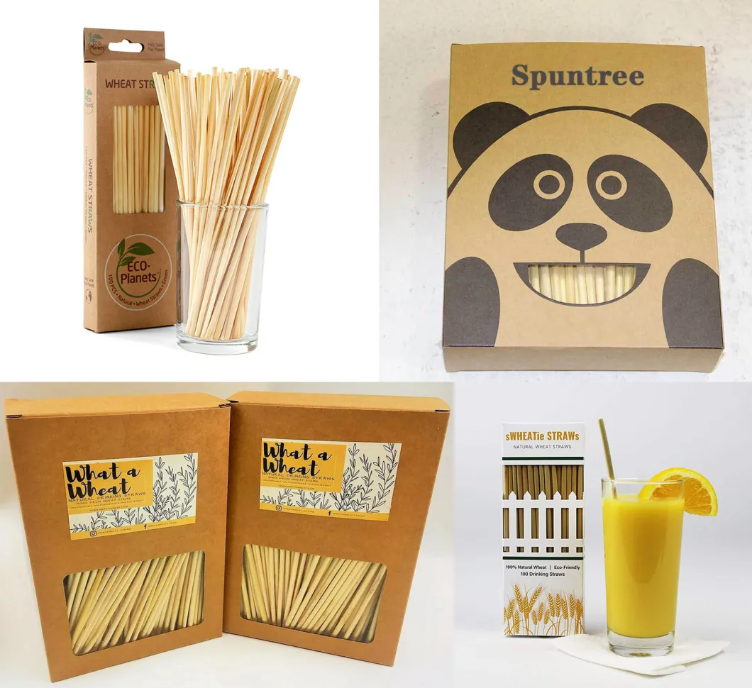 Amazon Wholesale Eco Biodegradable Tableware Disposable Drinking Wheat Straw