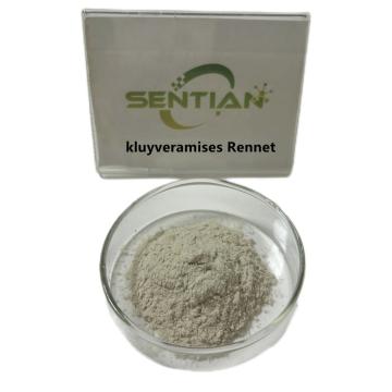 Microbial Rennet for cheese Kluyveromyces lactis rennet