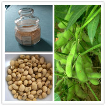 Soybean Extract Soy isoflavones/CatheRine Genistein 10%-90%