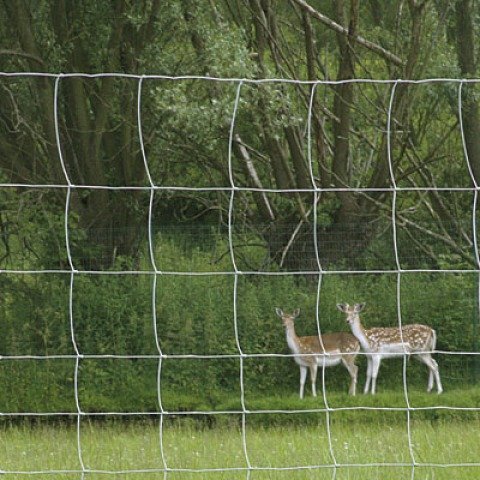 Wytrzymałe, tkane ogrodzenie z drutu o przedłużonej trwałości