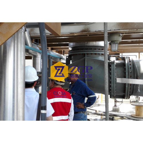 Horizontal Chemical Duplex Stainless Steel Axial Flow Pumps