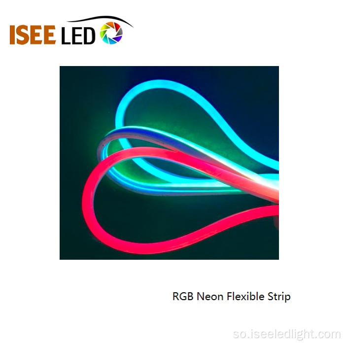 BiyoProfprof SMD5050 waxay LED rgb Neon Flex ee dibedda