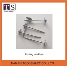 roofing nail with flat head