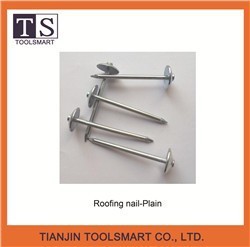 roofing nail with flat head