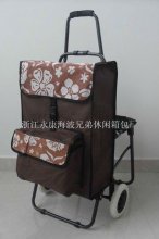 Large folding grocery cart with Cooler bag