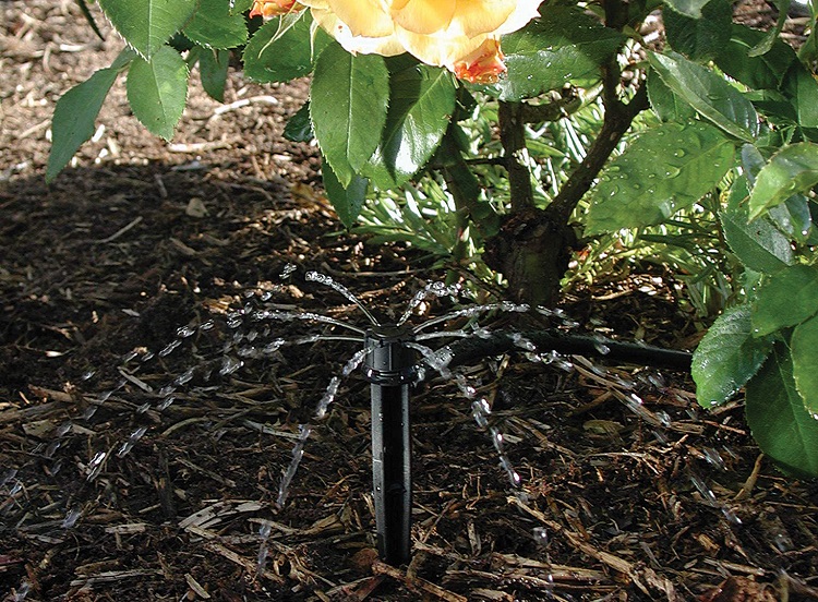 shrubbler_spray_in_flowerbed