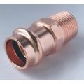 กด Male Connector MX กด