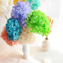 2023 Hot Sale: Blush Pink and Purple Dried Hydrangea Flowers for Home Decoration
