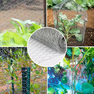 Hexagonal Chicken Wire Mesh