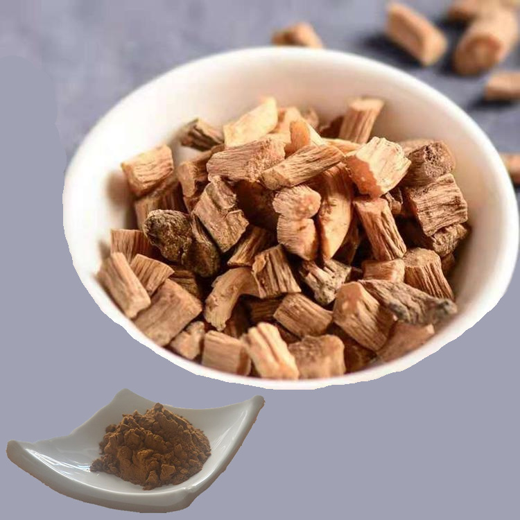 Organic-Achyranthes-Bidentata-Extract-for-Holistic-Healing-and-Balance (1) Organic-Achyranthes-Bidentata-Extract-for-Holistic-Healing-and-Balance (1)