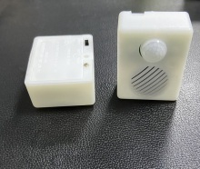 PIR Sensor sound box for Halloween