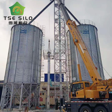 Customized Galvanized Steel Hopper Bottom Paddy Silos (TCZK 300T/400T/500T) for Cereal Storage