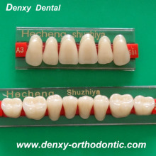 Dental Products Synthetic Resin Teeth Composite Teeth