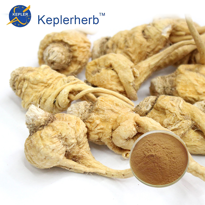 Maca Extract Powder factory supply