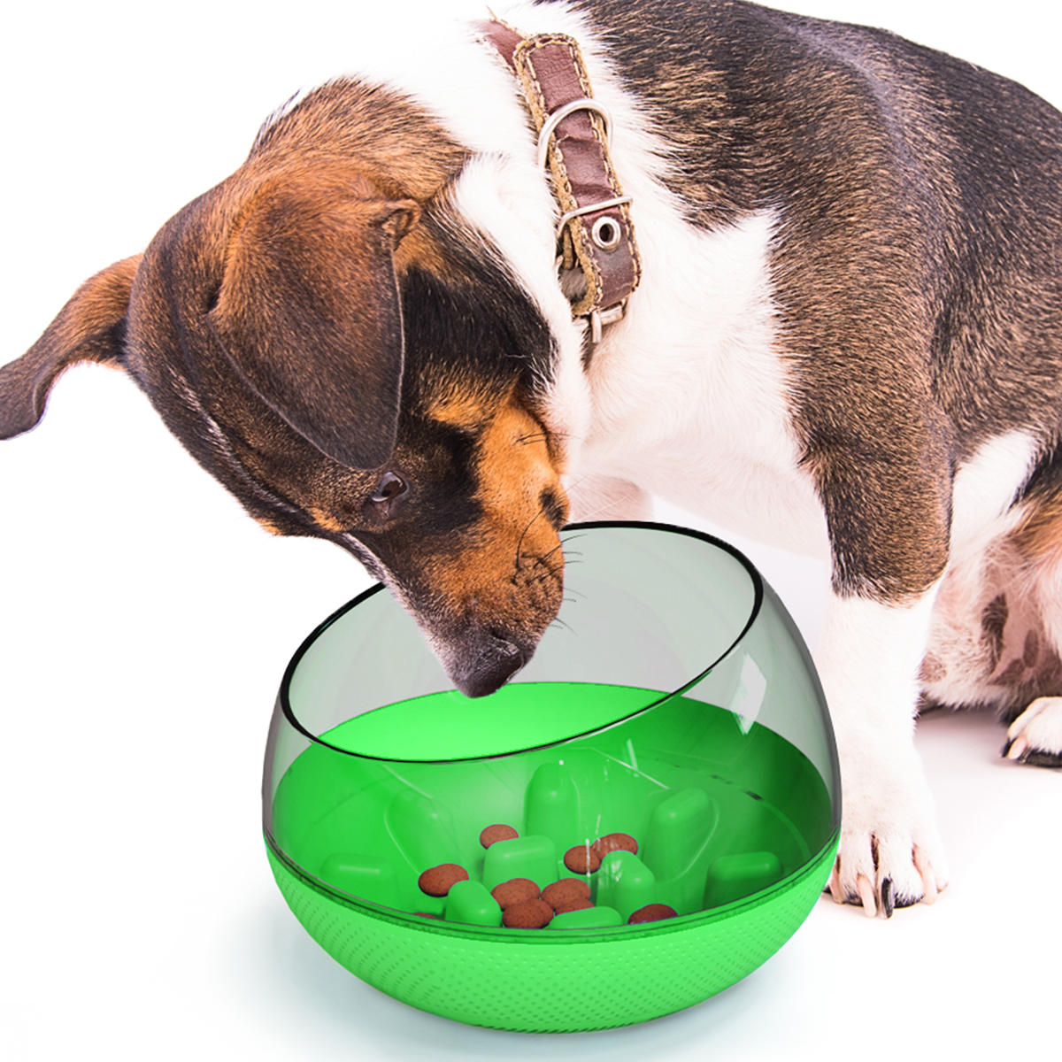 Slow Eating Large Dog Bowl