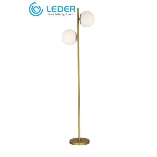 LEDER Metal Curved Floor Lamp