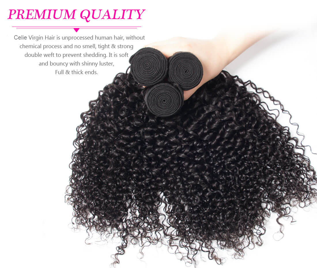Grade 10A Pure Virgin Hair Cuticle Aligned Brazilian Hair Curly Wave Hair Extension with 4x4 Lace Closure for Women