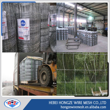 Cattle fence /Field fence/glassland fence for cattle