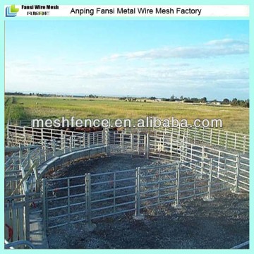 Livestock feed fence-- Cattle Panel--Good Quality