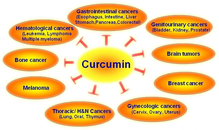 High Purity Curcumin 98% CAS 458-37-7