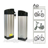 Silver Fish Bicycle Battery