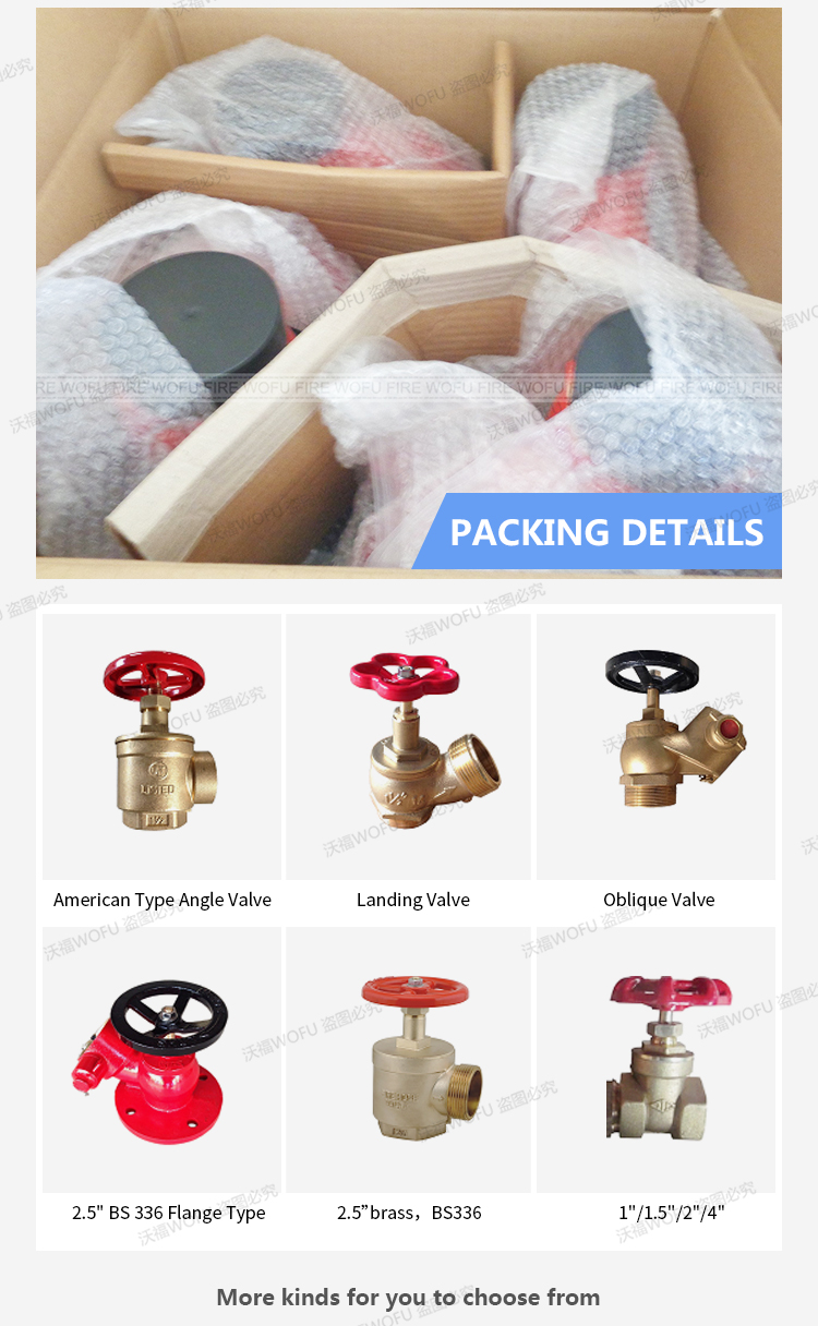 2-1/2'' BS336 Flanged Type fire hydrant landing valve parts