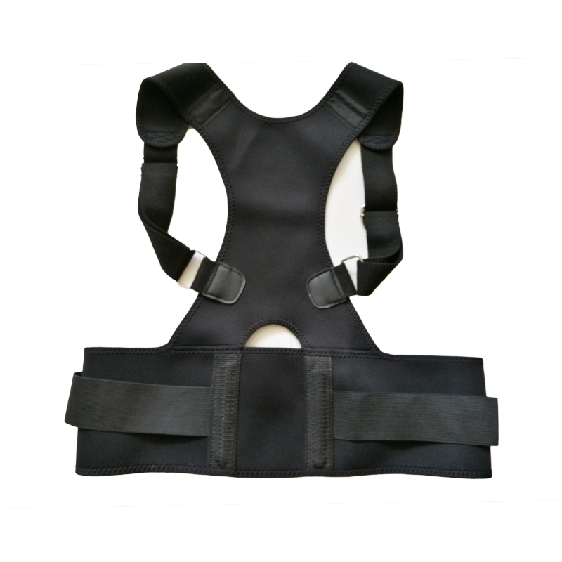 Back Support Belt