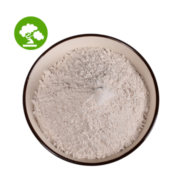 High Quality 10:1 Natural Red Bean Powder