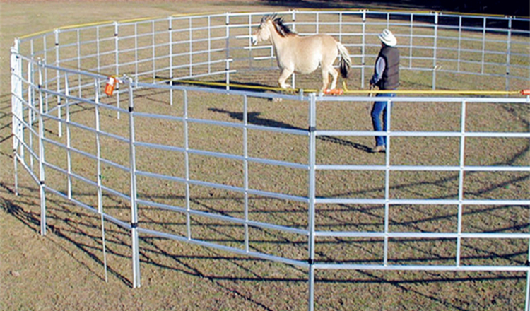 Galvanized  horse  fence panel