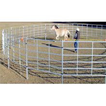 Galvanized  horse  fence panel