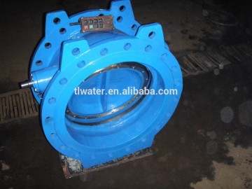 Tilting disk Check Valve