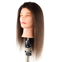 Natural human hair training mannequin head training perming hairdressing head beauty school manikin head
