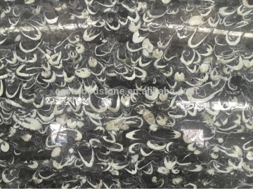 Black Fossil marble slabs price for sale