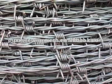 barbed galvanized wire/razor barbed wire series