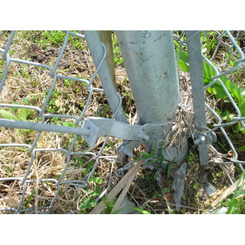 cerca de elo da cadeia decorativa para proteção de campo verde