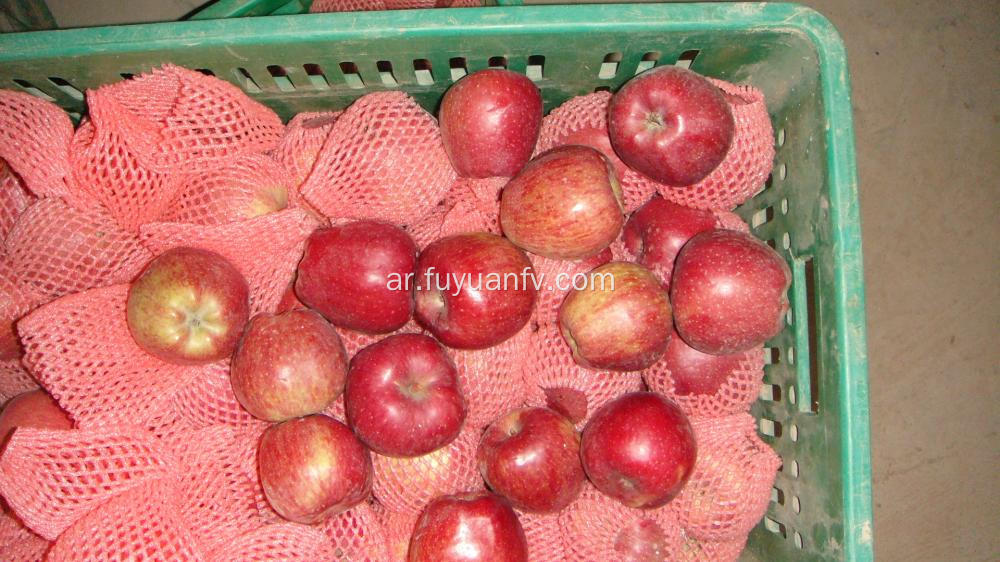 Hotsale الحلو ونجمة حمراء هش التفاح