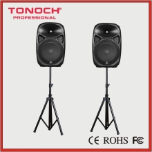 High End 10 Inch Passive Loudspeaker Box