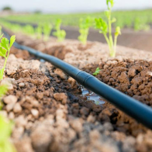 Tuyau d&#39;irrigation goutte à goutte Skyplant PE pour l&#39;arrosage